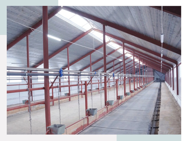 Строительство коровников в Великом Новгороде от 614 руб.