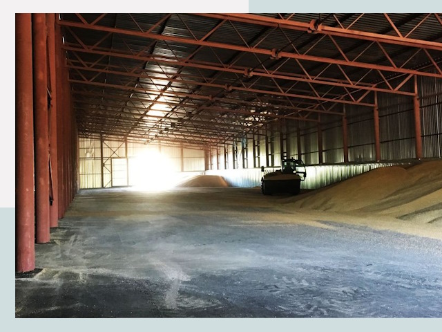 Строительство зернохранилищ в Великом Новгороде