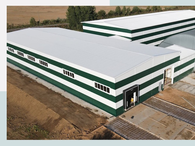 Строительство овощехранилищ в Великом Новгороде